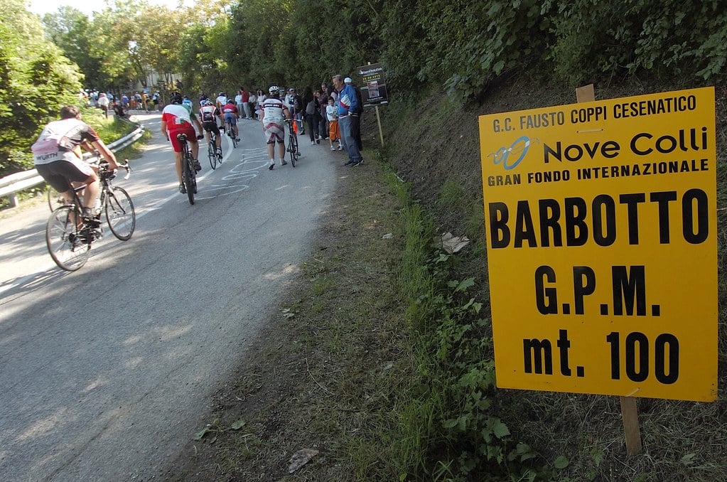 Barbotto