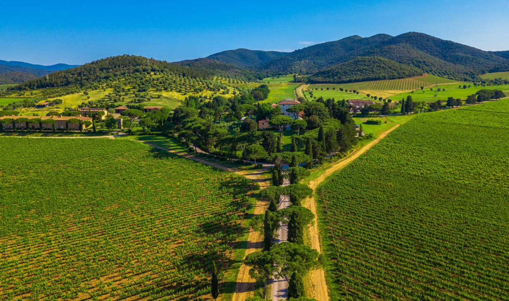 Andana Tuscano Accommodations