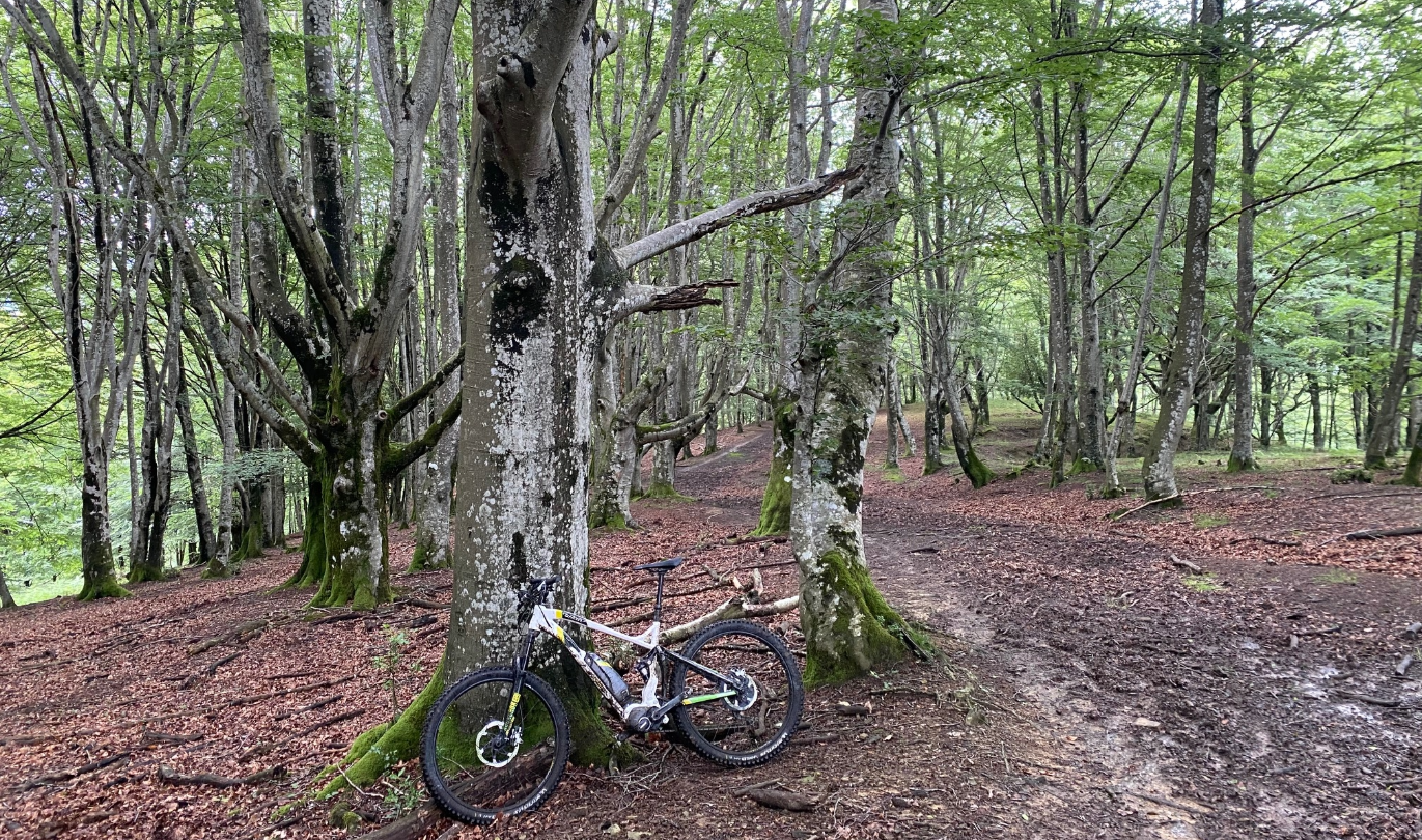 Arkelbeltz MTB cycling holidays-10