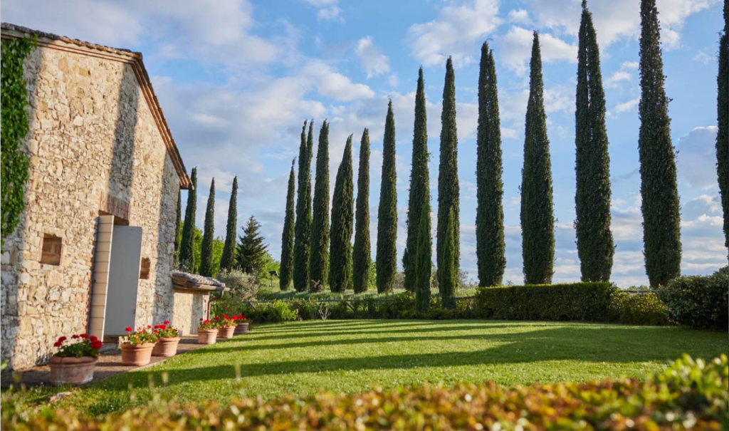 Borgo San Felice 2
